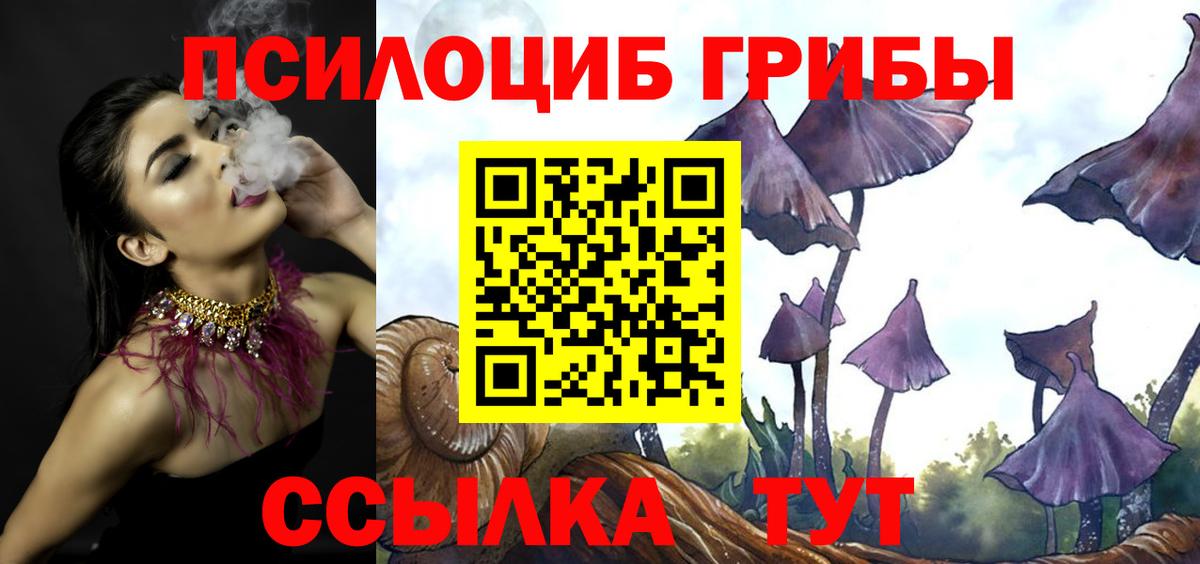 Галлюциногенные грибы ЛСД Моршанск